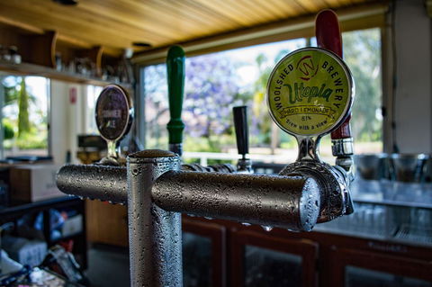 Murray River Queen - Accommodation NSW 17