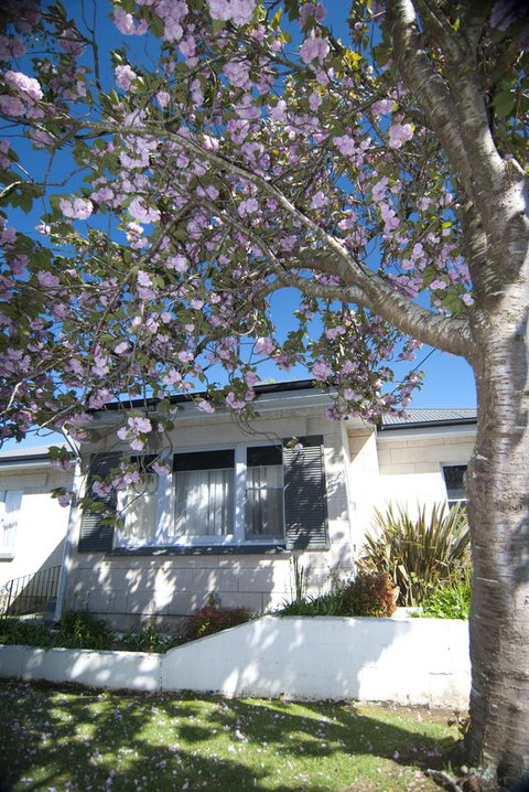 The Commodore - Accommodation NSW 14