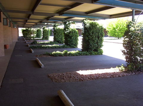 The Wine Vine Hotel - Accommodation NSW 17