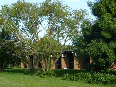 The Wine Vine Hotel - Accommodation NSW 18