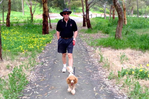 Clare Valley Cabins - Accommodation NSW 34