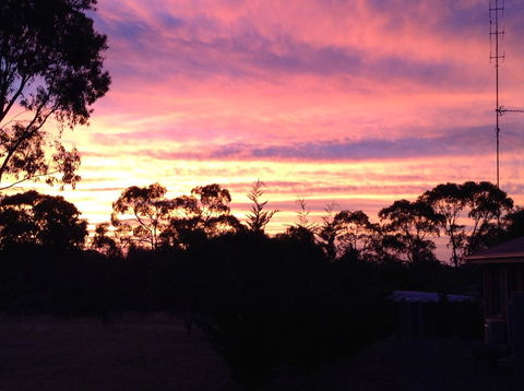 Clare Valley Cabins - Accommodation NSW 8