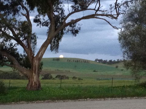 Clare Valley Cabins - Accommodation NSW 10