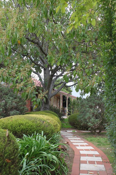 Langmeil Cottages - Accommodation NSW 2