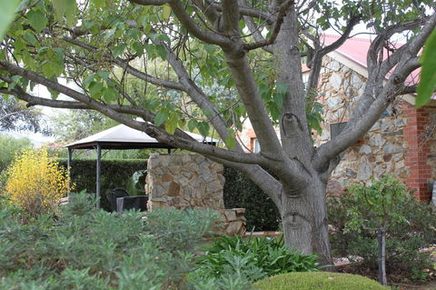 Langmeil Cottages - Accommodation NSW 3