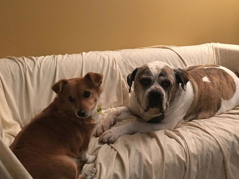 KI Dragonfly Guesthouse - Accommodation NSW 34