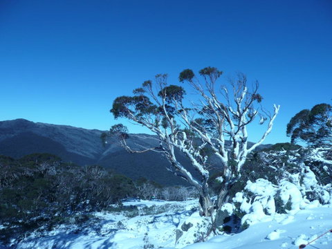 CHILL-OUT - Thredbo - Accommodation NSW 33