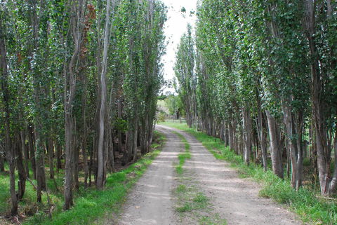 Back Valley Farmstay Bed And Breakfast - Accommodation NSW 2