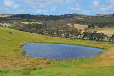 Back Valley Farmstay Bed And Breakfast - Accommodation NSW 19