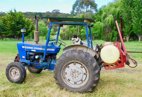 Back Valley Farmstay Bed And Breakfast - Accommodation NSW 14