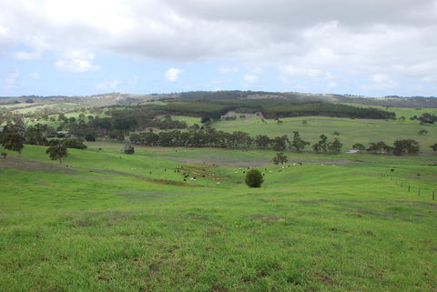 Back Valley Farmstay Bed And Breakfast - Accommodation NSW 15