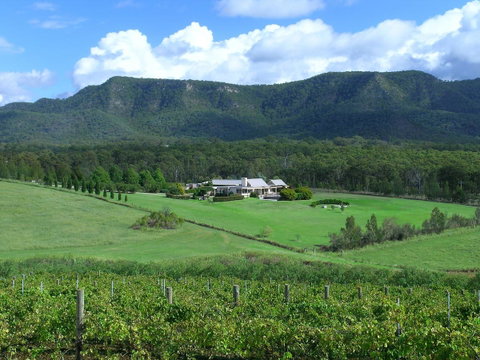 Grapevines Boutique Accommodation - Accommodation NSW 23