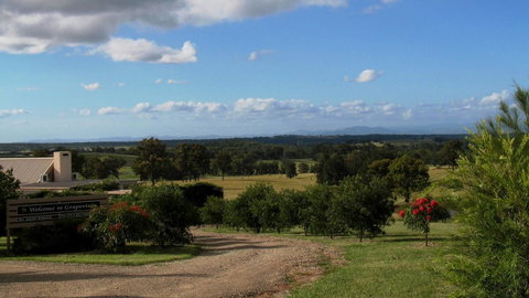 Grapevines Boutique Accommodation - Accommodation NSW 20