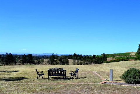 Grapevines Boutique Accommodation - Accommodation NSW 18