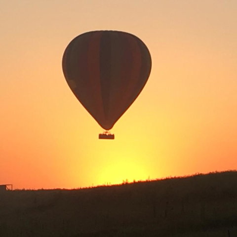 Grapevines Boutique Accommodation - Accommodation NSW 13