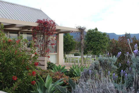 Grapevines Boutique Accommodation - Accommodation NSW 28