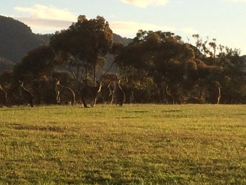 Grapevines Boutique Accommodation - Accommodation NSW 26
