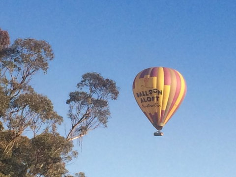Grapevines Boutique Accommodation - Accommodation NSW 12