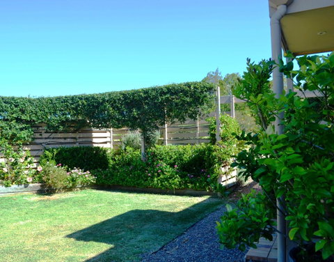 Grapevines Boutique Accommodation - Accommodation NSW 14