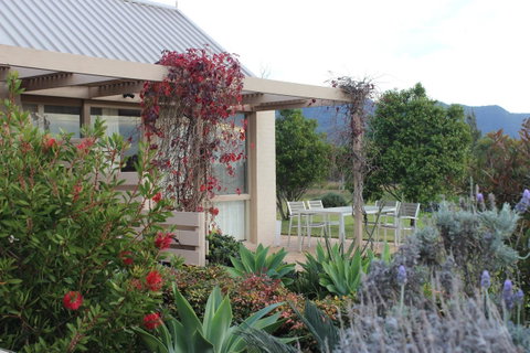 Grapevines Boutique Accommodation - Accommodation NSW 24