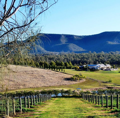 Grapevines Boutique Accommodation - Accommodation NSW 5