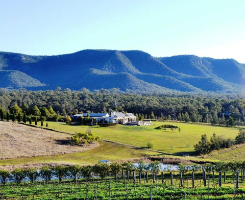Grapevines Boutique Accommodation - Accommodation NSW 0