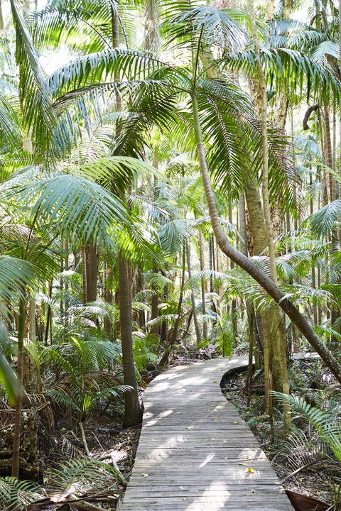 Crystalbrook Byron - Accommodation NSW 26