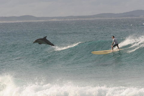 Crescent Head Spa Villa - Accommodation NSW 22