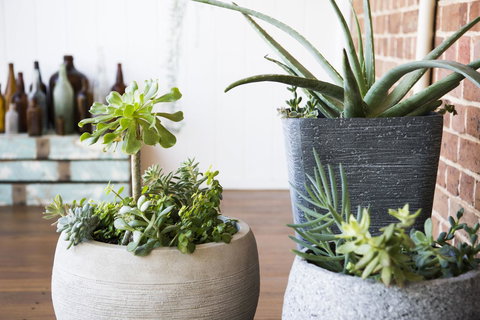 The Parkview Hotel Mudgee - Accommodation NSW 35