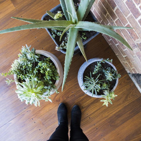 The Parkview Hotel Mudgee - Accommodation NSW 33