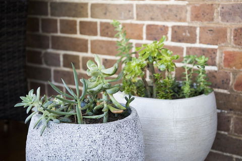 The Parkview Hotel Mudgee - Accommodation NSW 34