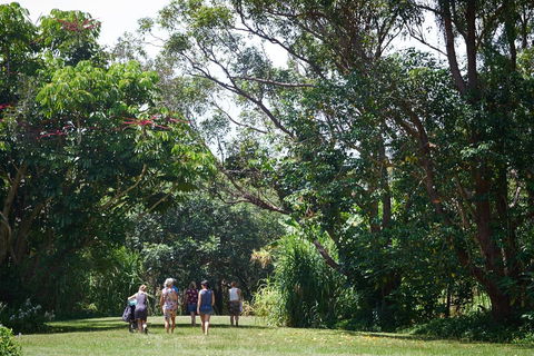 Ingenia Holidays Byron Bay - Accommodation NSW 11