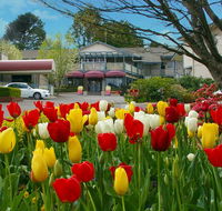 Nesuto Leura Gardens formerly Waldorf Leura Gardens Resort - Accommodation NSW