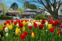 Book Leura Accommodation Vacations Accommodation NSW Accommodation NSW