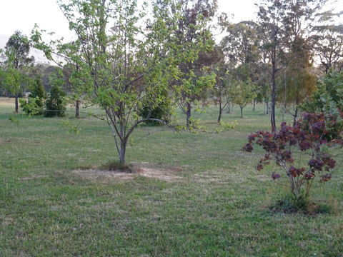 Romanz In The Valley (Luxury B&B) - Accommodation NSW 32