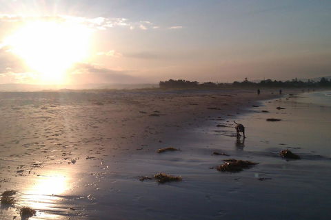 Sweet Spot Shellharbour - Accommodation NSW 12