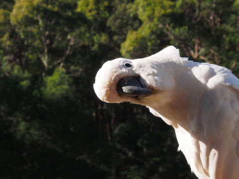 Bundle Hill Cottages - Accommodation NSW 1