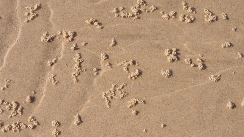 Bundle Hill Cottages - Accommodation NSW 4