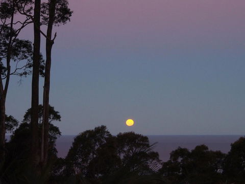 Bundle Hill Cottages - Accommodation NSW 36