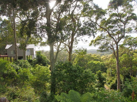 Bundle Hill Cottages - Accommodation NSW 22