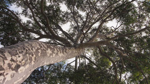 Bundle Hill Cottages - Accommodation NSW 20