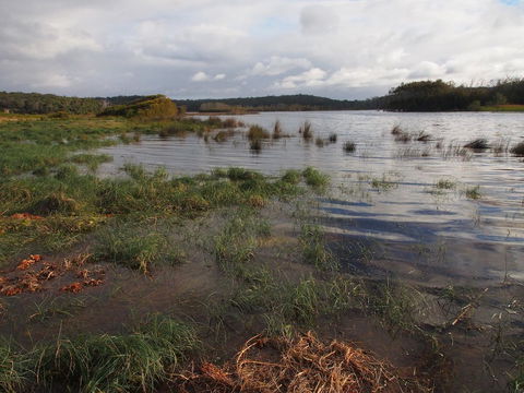 Bundle Hill Cottages - Accommodation NSW 31