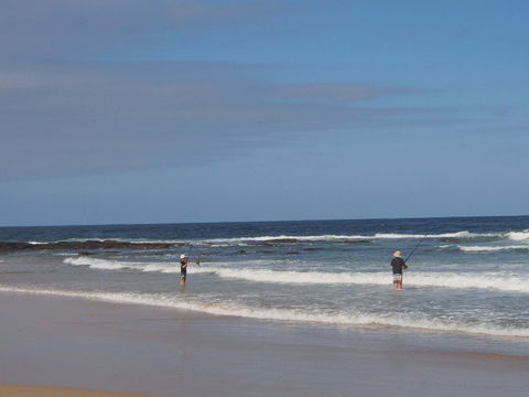 Bundle Hill Cottages - Accommodation NSW 10