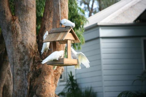 Huskisson Holiday Motel Cabins - Accommodation NSW 29