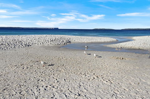 Huskisson Holiday Motel Cabins - Accommodation NSW 21