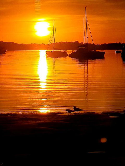 Marina Resort - Accommodation NSW 3
