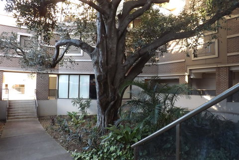 Fiori Apartments - Accommodation NSW 32