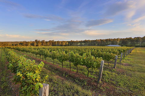 Ironstone Estate Lovedale - Accommodation NSW 31