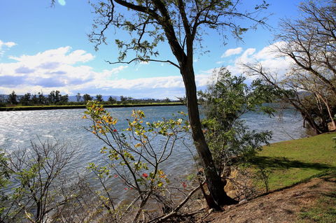 Terara Riverside Retreat - Accommodation NSW 27
