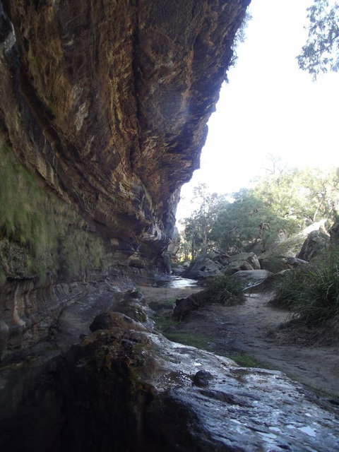 Winning Post Motor Inn - Accommodation NSW 22